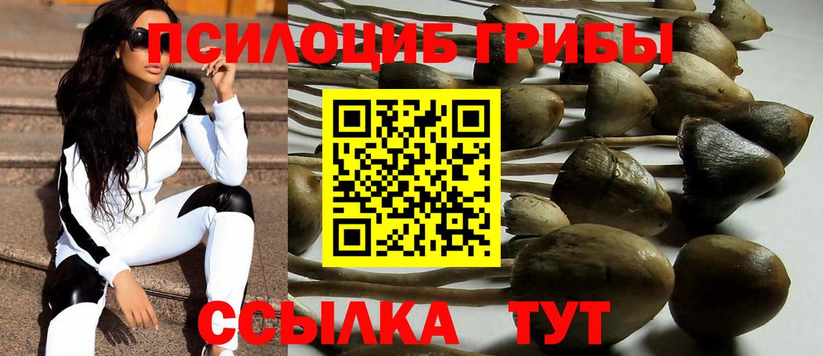 купить   Галлюциногенные грибы Psilocybe  Вход с VPN  Ирбит 